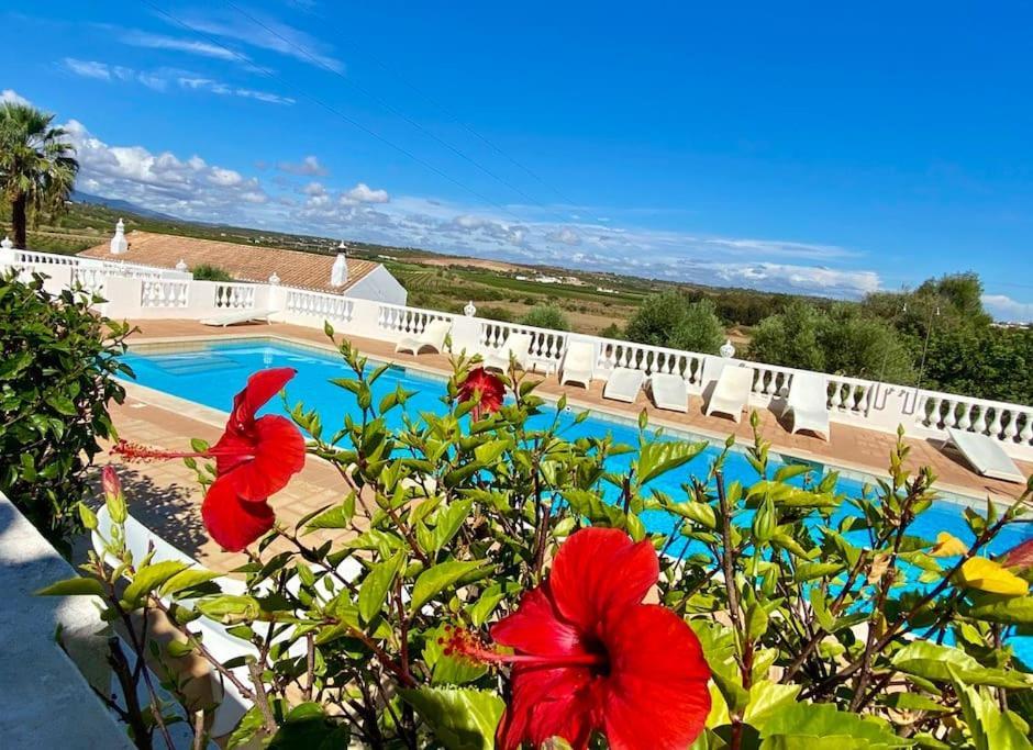 Blue Skies Villas 1&2 Mexilhoeira Grande Luaran gambar